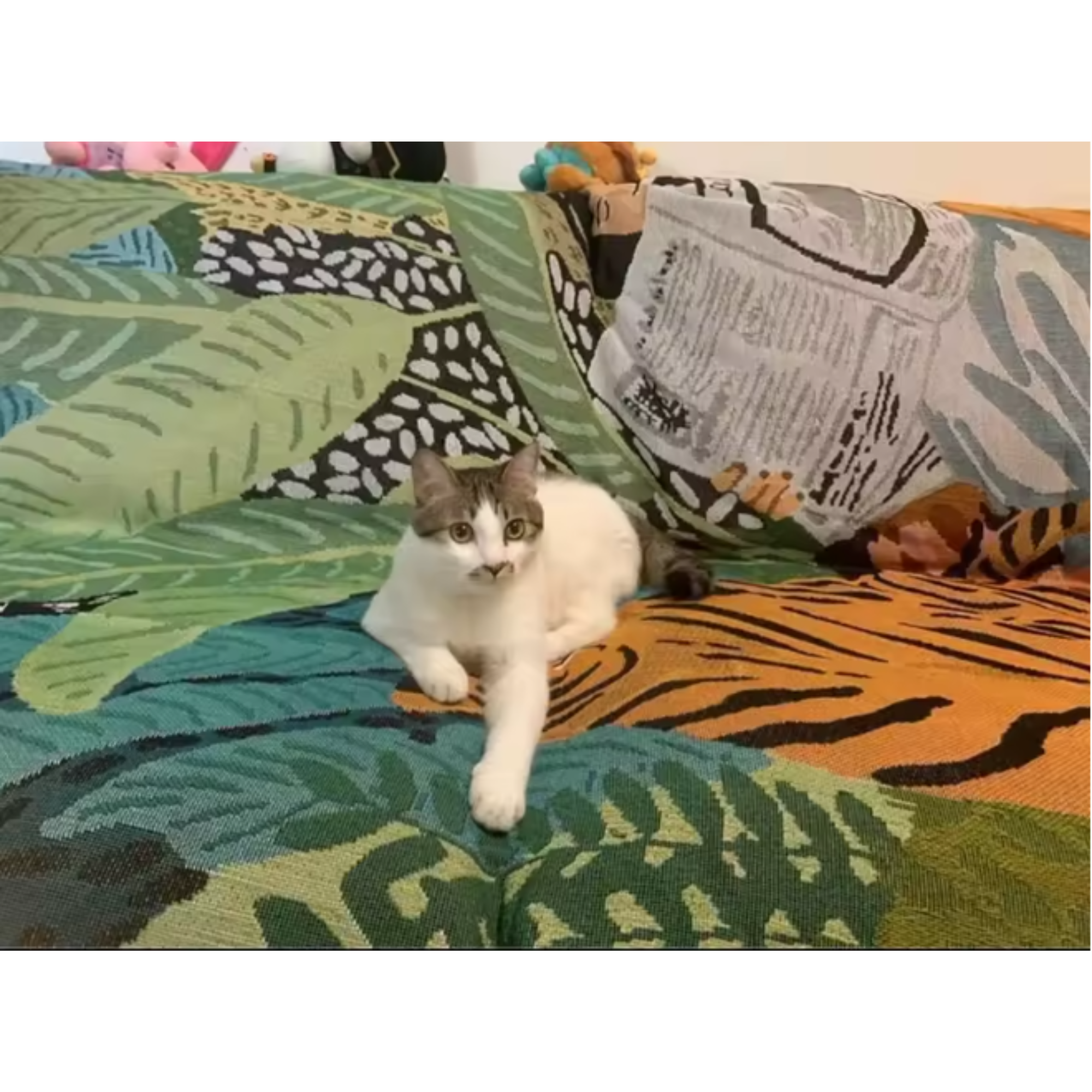 Tiger Newspaper Print Throw Blanket - Image 4