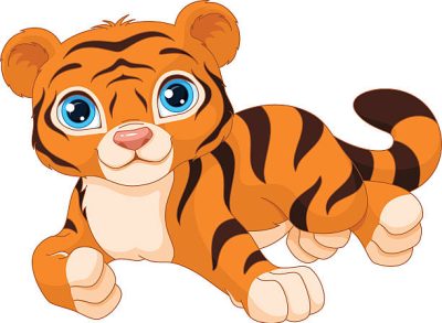 Cute Tiger Laying Down
